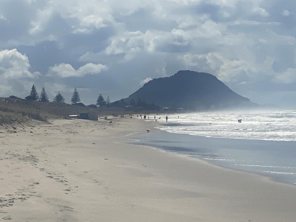 Apartmán Superb Beachside Location, Private And Tranquil Mount Maunganui Exteriér fotografie
